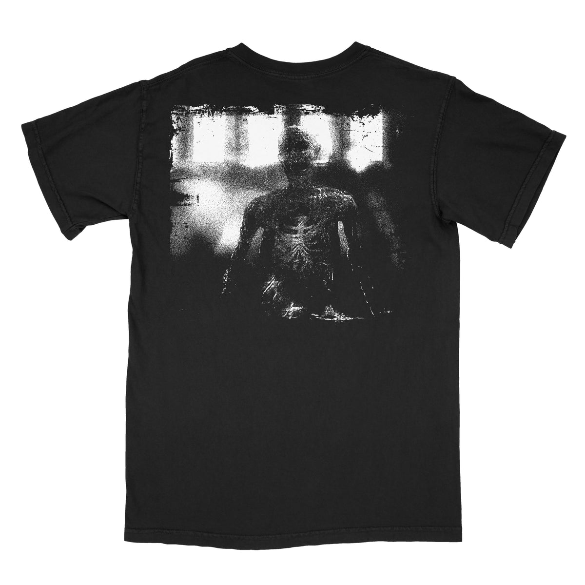 The Puzzle Box • Frank • 72 Hour Release