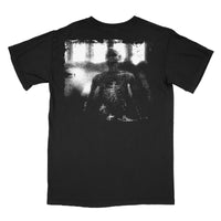 The Puzzle Box • Frank • 72 Hour Release